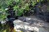 ueno_zoo_1781_mini.jpg
