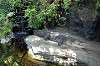 ueno_zoo_1782_mini.jpg
