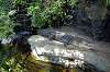 ueno_zoo_1783_mini.jpg