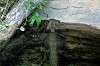 ueno_zoo_1787_mini.jpg
