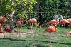 ueno_zoo_1845_mini.jpg