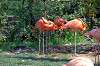 ueno_zoo_1847_mini.jpg