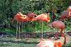ueno_zoo_1848_mini.jpg