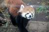 ueno_zoo_2022_mini.jpg