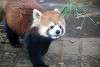 ueno_zoo_2023_mini.jpg