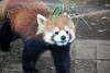 ueno_zoo_2024_mini.jpg