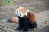 ueno_zoo_2025_mini.jpg