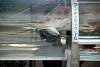 ueno_zoo_2039_mini.jpg
