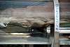 ueno_zoo_2040_mini.jpg