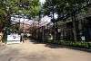 ueno_zoo_2057_mini.jpg