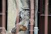 ueno_zoo_2074_mini.jpg