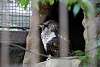 ueno_zoo_2076_mini.jpg