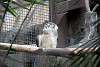 ueno_zoo_2080_mini.jpg