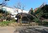 ueno_zoo_2097_mini.jpg
