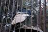 ueno_zoo_2111_mini.jpg