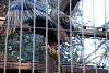 ueno_zoo_2116_mini.jpg
