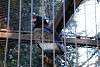 ueno_zoo_2117_mini.jpg