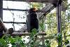ueno_zoo_2152_mini.jpg