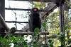 ueno_zoo_2153_mini.jpg