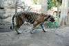 ueno_zoo_2158_mini.jpg