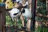 ueno_zoo_2183_mini.jpg