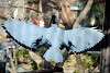 ueno_zoo_2188_mini.jpg