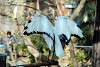 ueno_zoo_2193_mini.jpg