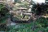 ueno_zoo_2203_mini.jpg