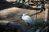 ueno_zoo_2208_mini.jpg
