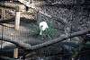 ueno_zoo_2209_mini.jpg