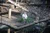 ueno_zoo_2214_mini.jpg