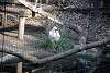 ueno_zoo_2223_mini.jpg