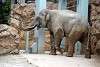 ueno_zoo_2233_mini.jpg