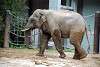 ueno_zoo_2236_mini.jpg