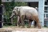 ueno_zoo_2245_mini.jpg