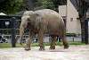 ueno_zoo_2246_mini.jpg