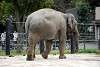 ueno_zoo_2252_mini.jpg