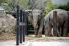 ueno_zoo_2255_mini.jpg