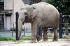 ueno_zoo_2261_mini.jpg
