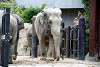 ueno_zoo_2263_mini.jpg