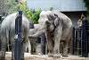 ueno_zoo_2266_mini.jpg
