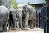 ueno_zoo_2268_mini.jpg
