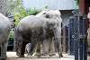 ueno_zoo_2271_mini.jpg