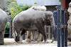 ueno_zoo_2272_mini.jpg