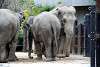 ueno_zoo_2273_mini.jpg