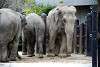 ueno_zoo_2275_mini.jpg