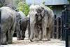 ueno_zoo_2277_mini.jpg