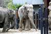 ueno_zoo_2280_mini.jpg