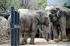 ueno_zoo_2290_mini.jpg