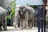 ueno_zoo_2294_mini.jpg
